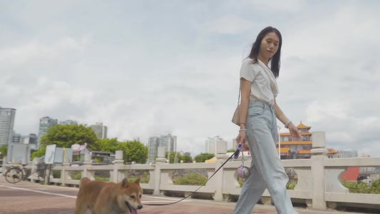 Klaro's Portable Dog Water Bottle