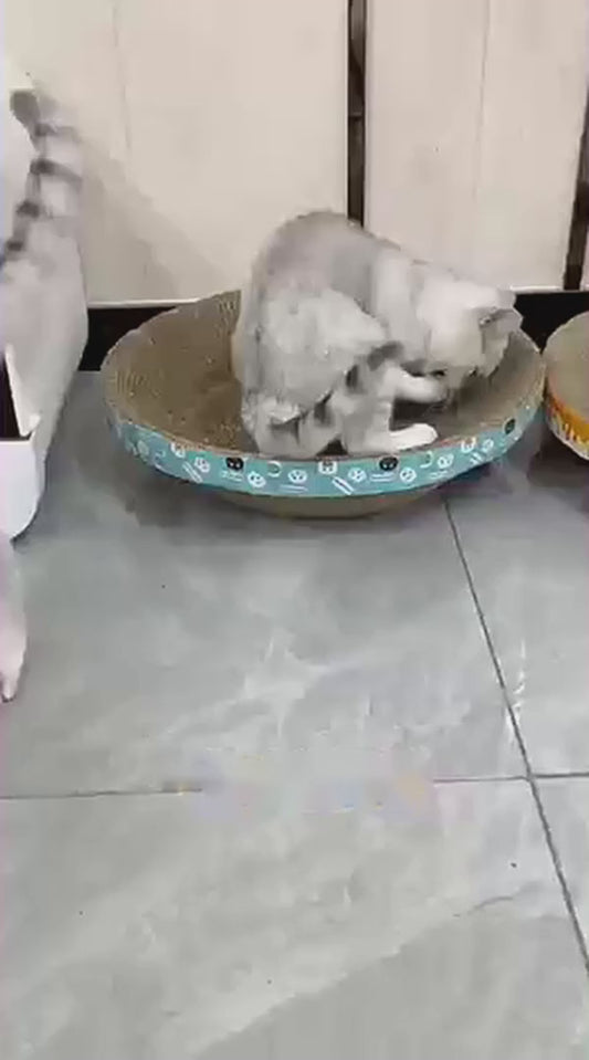 Klaro's Self-Cleaning Litter Scoop